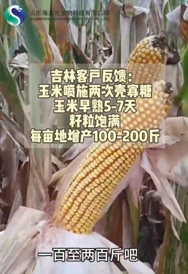 杂配藜别名丰富，农业用途广泛