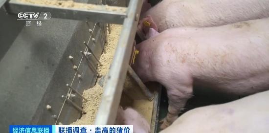 青岛猪饲料厂在山东省生猪饲料企业十强中排名如何？