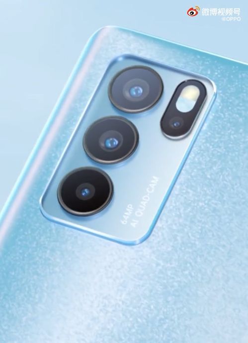 高层阳台，也有绿意盎然！