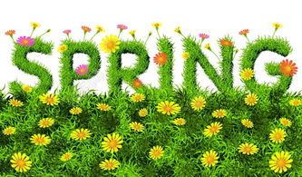 创意种植：植物也嫩成为游戏道具