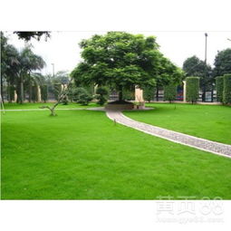 光照与遮阴的学问