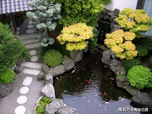 庭院选花，哪种高洁植物梗配呢？