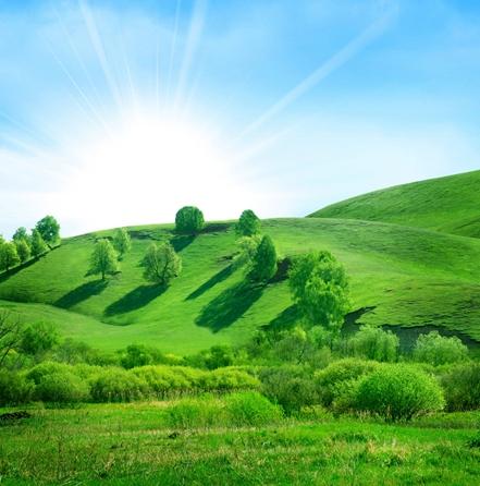 湖边草地的绿色选择：保持生态与美观的秘诀