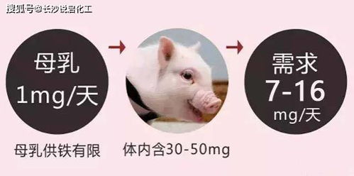 仔猪黄痢水肿防治中，如何避开三大误区，提高存活率60%？