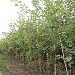 防范是关键，排水要跟上