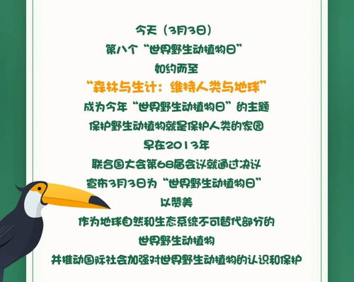 《野生动植物保护法实施时间与自然守护之路》中的具体措施揭秘