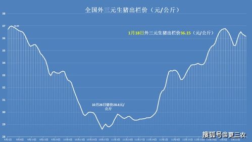 10月中旬猪价即将下跌，11~12月粮价、猪价走势如何？会同步下跌吗？