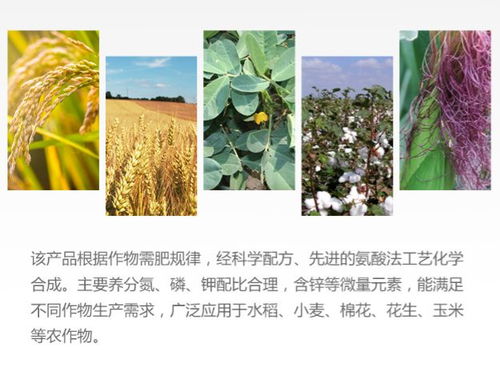 己唑醇兑水比例大揭秘