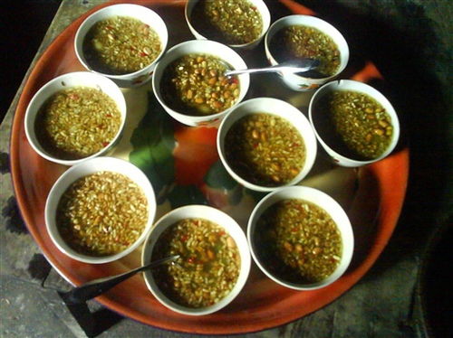 怎么找正宗的油茶种子呢？