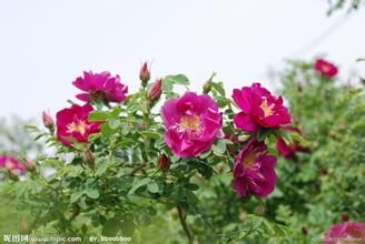 生产加工经销批发招商代理商业服务