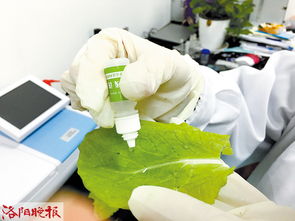 3. 酵素水泡一泡，健康又美味