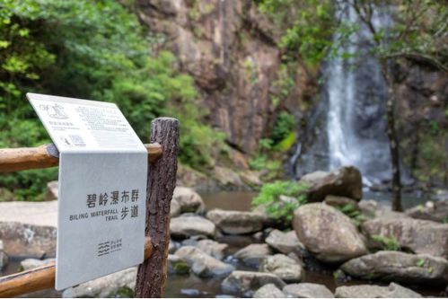 格林山野生茶油价格一览，揭秘乡里茶油市场行情