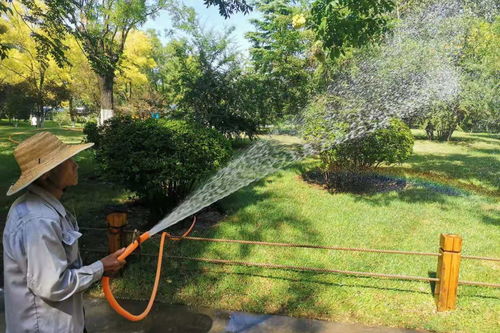 虫害防治：守护绿植的小卫士