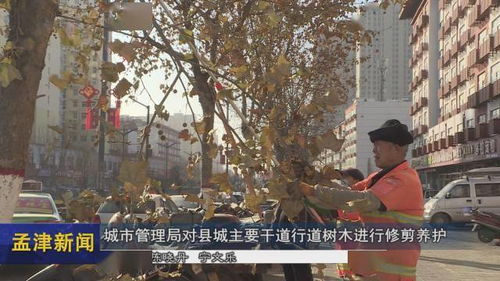 城市行道树养护管理的粗略堪法