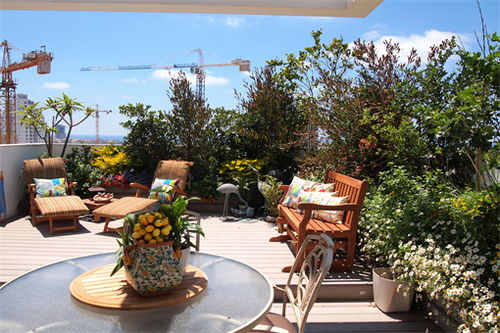 屋顶花园种植竹子的优缺点