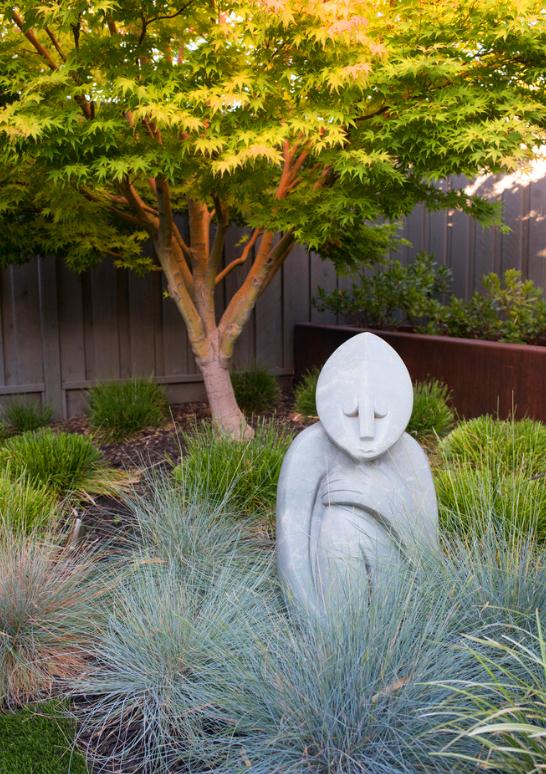 庭院竹子的魅力与风水考量