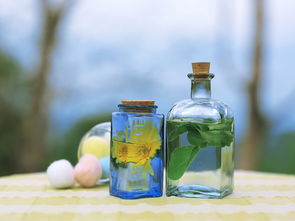 致命错误：用奶茶杯种花不打孔！