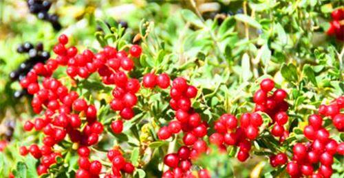 实测数据对比表