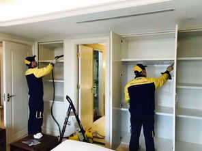 家装除甲醛行业的新机遇与挑战