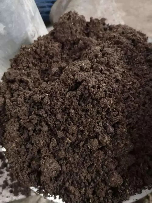 人类粪便作为肥料安全吗？长期使用对人体和环境有影响吗