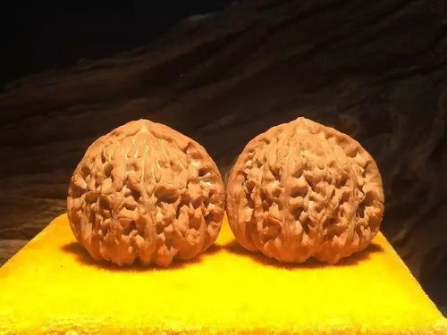 文玩核桃哪种好？十大品种图片对比分析