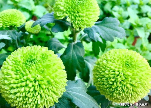 接下来试试这些小技巧