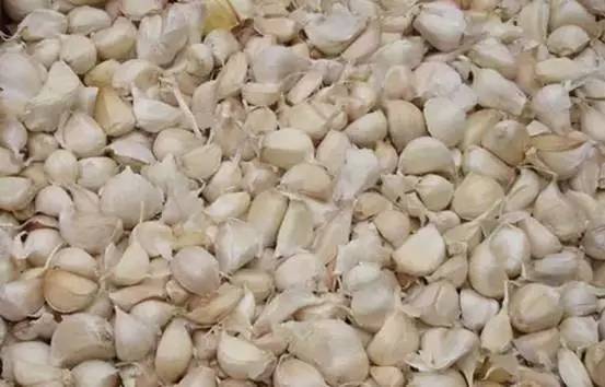 大蒜拌种，选对农药是关键