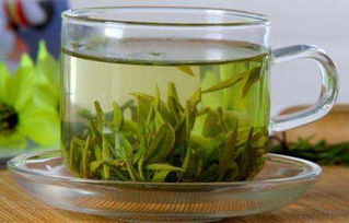 阳春绿茶叶价格一览：临澜蛮木每公斤多少钱？