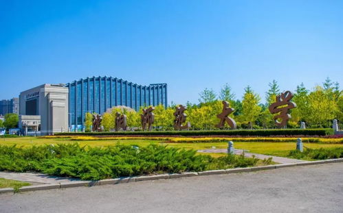 专业实力怎么样