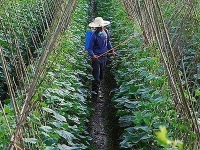 农药，那些神秘的魔法师