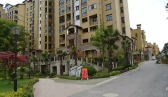 排屋花园种花草指南