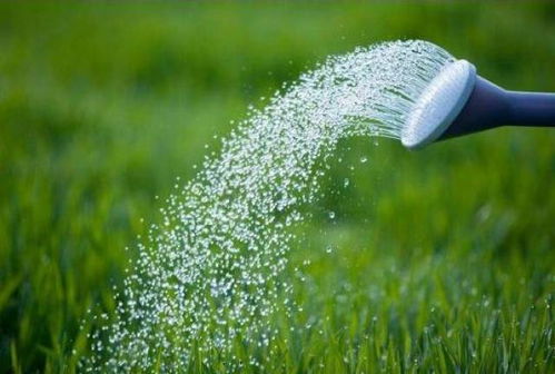 微乳剂对作物生长的影响