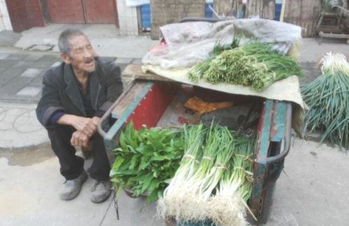 农村老人打农药，平安第一！