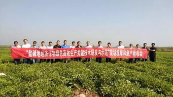 经济效益， 也要考虑