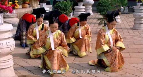 如意皇后养殖方法有哪些注意事项，如何确保其健康成长