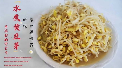 黄豆芽如何制作成美味的家常菜？