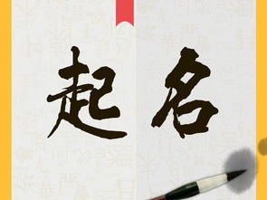 杉字寓意坚韧不拔，给孩子起名寓意成长如杉