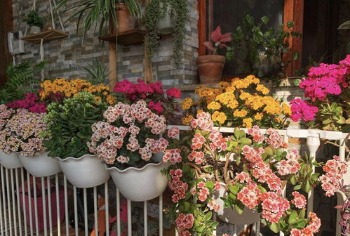 养护雷区， 千万别踩