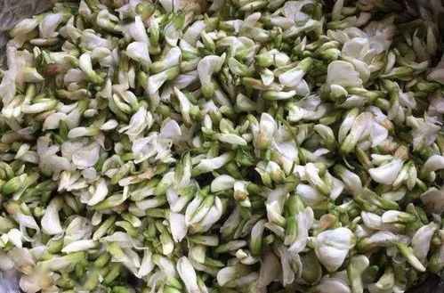 槐树花除了蒸着吃，还能怎么吃呢