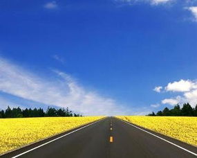 花儿们要会适应这边的气候