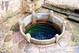 井水中的农药残留问题：令人担忧的现实