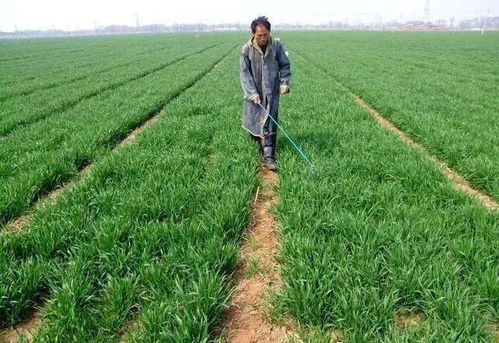 效果怎么样， kankan就知道