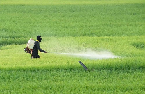 环嗪酮， 那是相当的狠