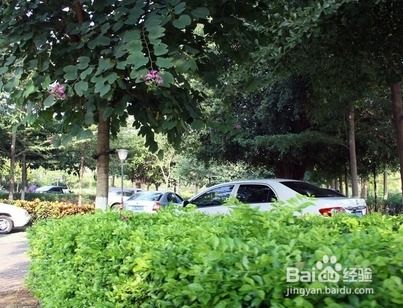 平安事项不可忽视