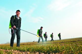 市面上那么多除草剂，哪个才是好货？