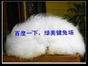 湖南长毛兔饲料厂的长毛兔饲料配方中，哪种成分对长毛兔生长最有益？