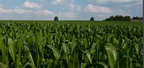 一喷八防， 一举多得