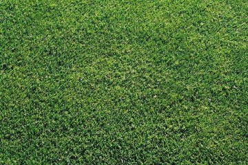 3. 百菌清的神奇功效