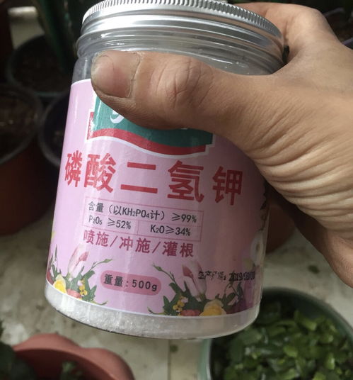 磷钾肥怎么选？哪种使用方法最简单