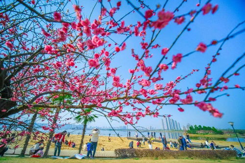 屈原故里文化旅游区， 诗意盎然